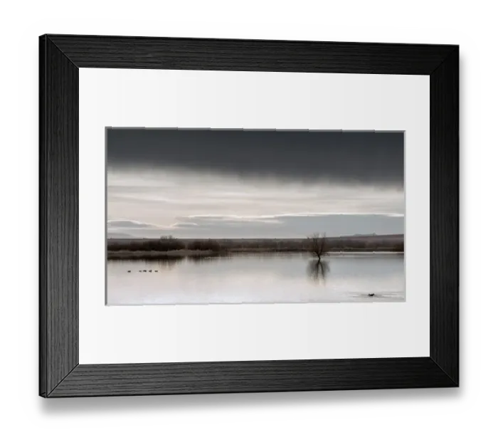 Framed Print : USA, New Mexico, Bosque del Apache National Wildlife Refuge, Panoramic view of ducks Framed Print : USA, New Mexico, Bosque del Apache National Wildlife Refuge, Panoramic view of ducks