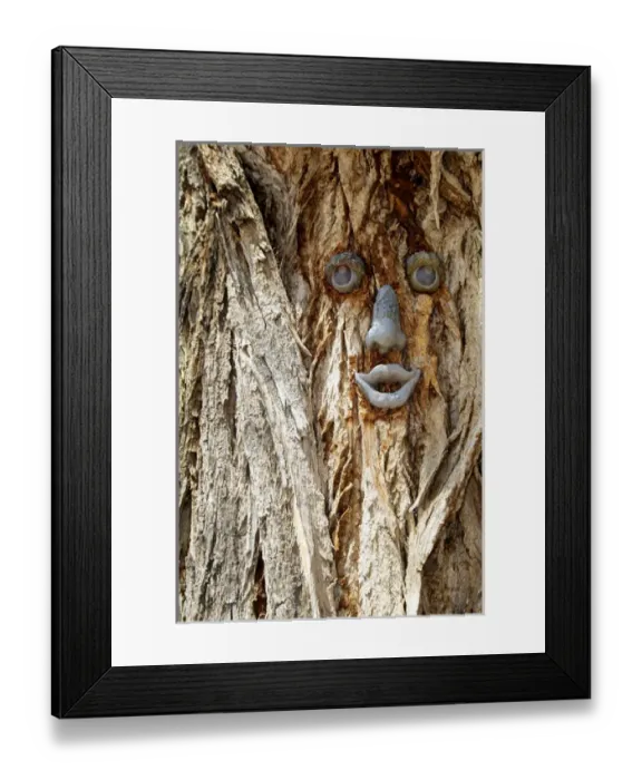 Framed Print : Funny face on a tree trunk, Gallup, New Mexico, USA Framed Print : Funny face on a tree trunk, Gallup, New Mexico, USA