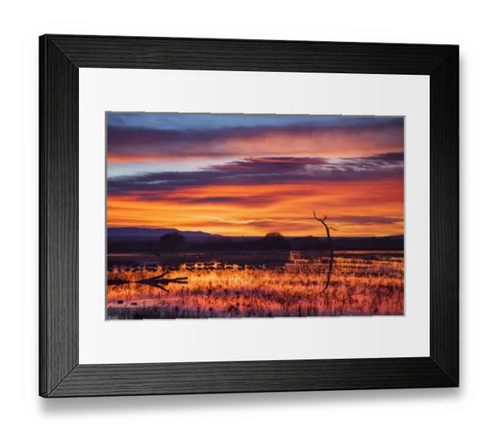 Framed Print : Socorro Co. New Mexico. Sunrise on waterfowl roosting marsh at Bosque del Apache