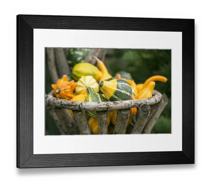 Framed Print : New York City, NY, USA. Fall at the Botanical Gardens Framed Print : New York City, NY, USA. Fall at the Botanical Gardens