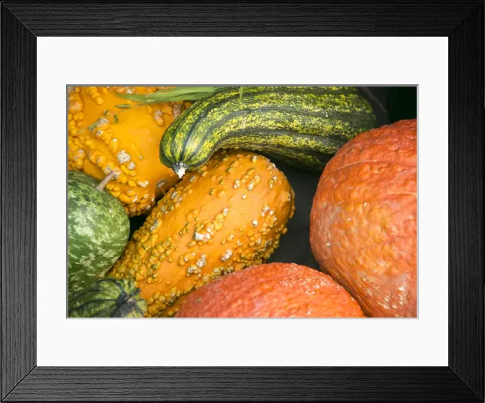 Framed Print : New York City, NY, USA. Fall at the Botanical Gardens