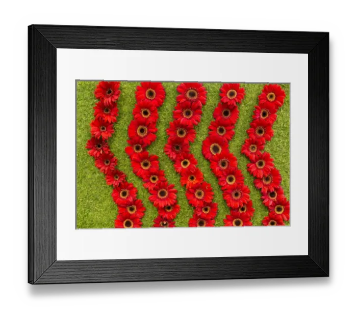 Framed Print : New York City, NY, USA. Floral displays for spring Framed Print : New York City, NY, USA. Floral displays for spring