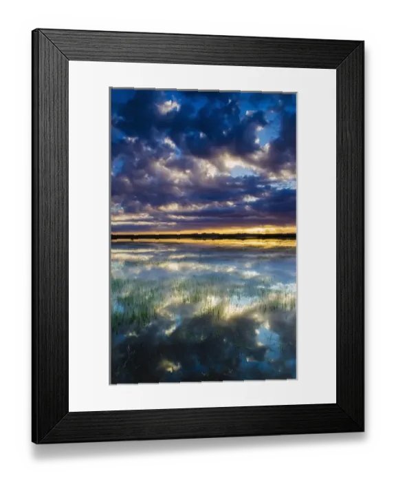 Framed Print : Wetlands at sunrise, Bosque del Apache National Wildlife Refuge, New Mexico USA Framed Print : Wetlands at sunrise, Bosque del Apache National Wildlife Refuge, New Mexico USA