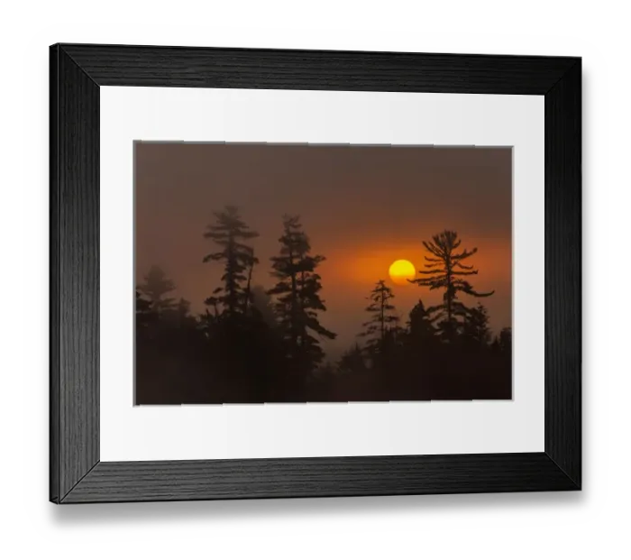 Framed Print : USA, New York, Adirondack Mountains. Forest silhouette at sunset Framed Print : USA, New York, Adirondack Mountains. Forest silhouette at sunset