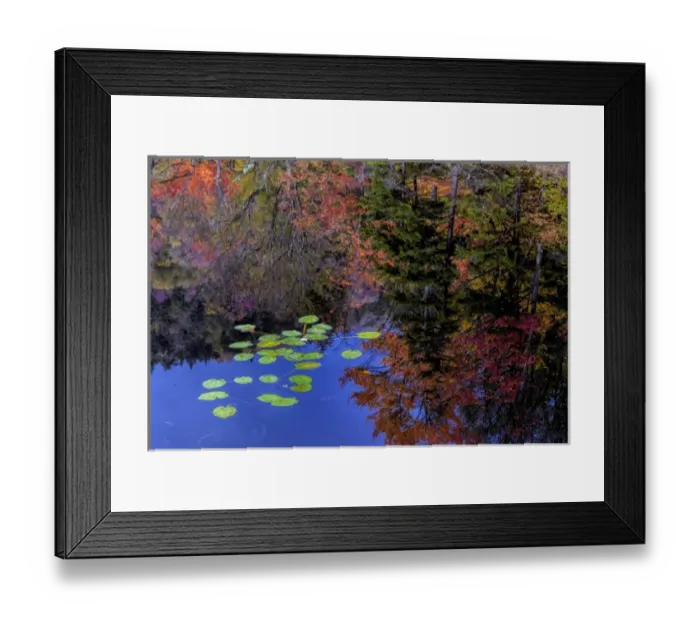Framed Print : USA, New York, Adirondack Mountains. Trees reflecting in water Framed Print : USA, New York, Adirondack Mountains. Trees reflecting in water