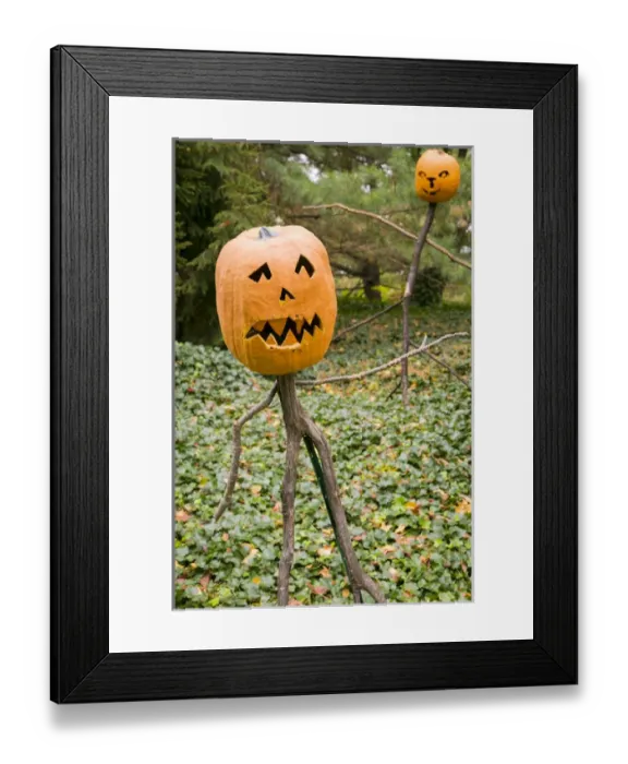 Framed Print : New York City, NY, USA. Fall at the Botanical Gardens