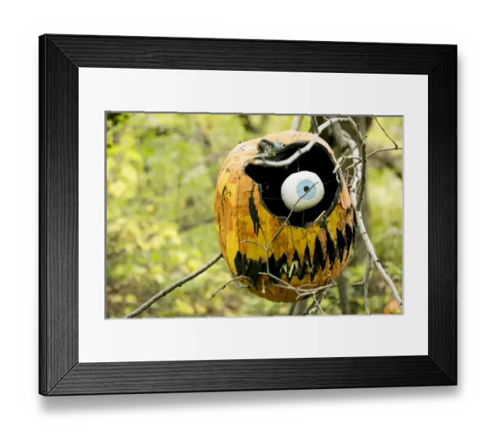 Framed Print : New York City, NY, USA. Fall at the Botanical Gardens