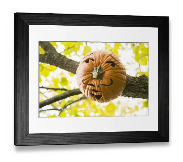 Framed Print : New York City, NY, USA. Fall at the Botanical Gardens Framed Print : New York City, NY, USA. Fall at the Botanical Gardens