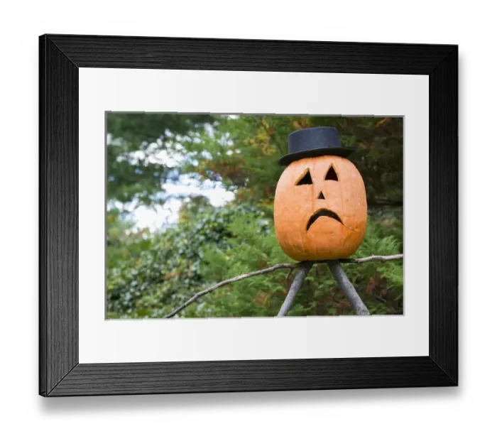 Framed Print : New York City, NY, USA. Fall at the Botanical Gardens Framed Print : New York City, NY, USA. Fall at the Botanical Gardens