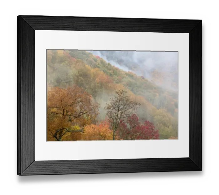 Framed Print : USA, North Carolina, Great Smoky Mountains. Autumn mountain landscape. Credit as