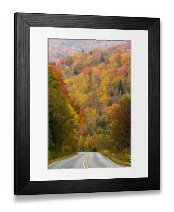 Framed Print : USA, North Carolina. Road through autumn-colored forest Framed Print : USA, North Carolina. Road through autumn-colored forest