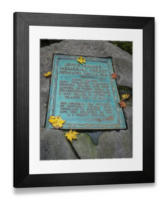 Framed Print : USA, North Carolina. Dedication plaque for Joyce Kilmer Memorial Forest. Credit as Framed Print : USA, North Carolina. Dedication plaque for Joyce Kilmer Memorial Forest. Credit as