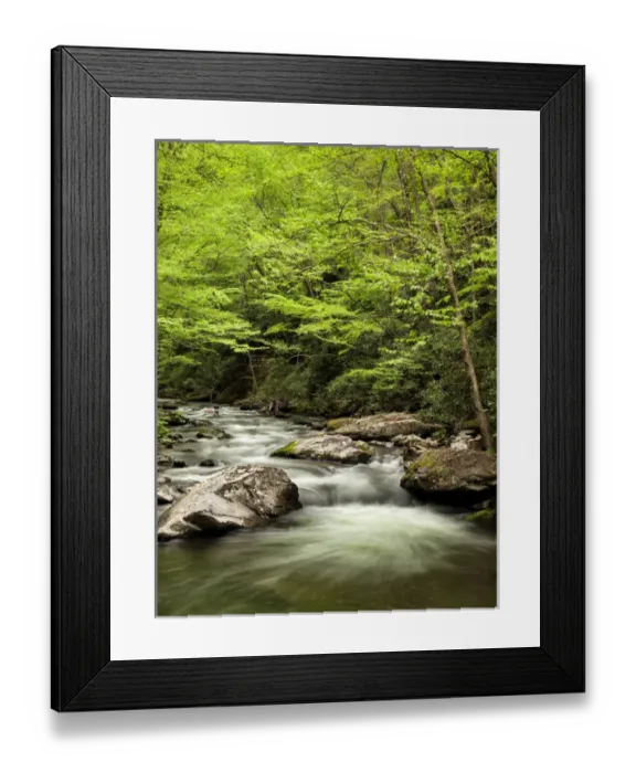 Framed Print : USA, North Carolina, Great Smoky Mountains National Park, Straight Fork flows through Framed Print : USA, North Carolina, Great Smoky Mountains National Park, Straight Fork flows through