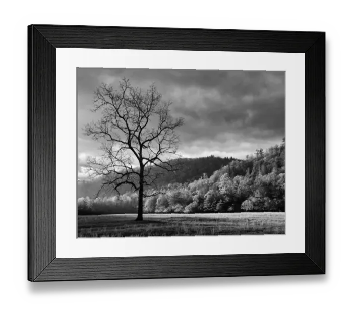 Framed Print : USA, North Carolina, Great Smoky Mountains National Park, Storm clearing at dawn Framed Print : USA, North Carolina, Great Smoky Mountains National Park, Storm clearing at dawn