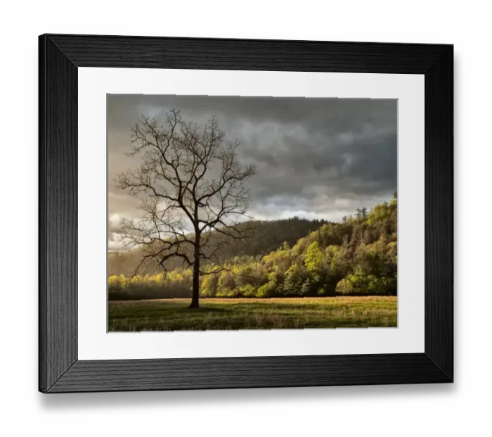 Framed Print : USA, North Carolina, Great Smoky Mountains National Park, Storm clearing at dawn Framed Print : USA, North Carolina, Great Smoky Mountains National Park, Storm clearing at dawn