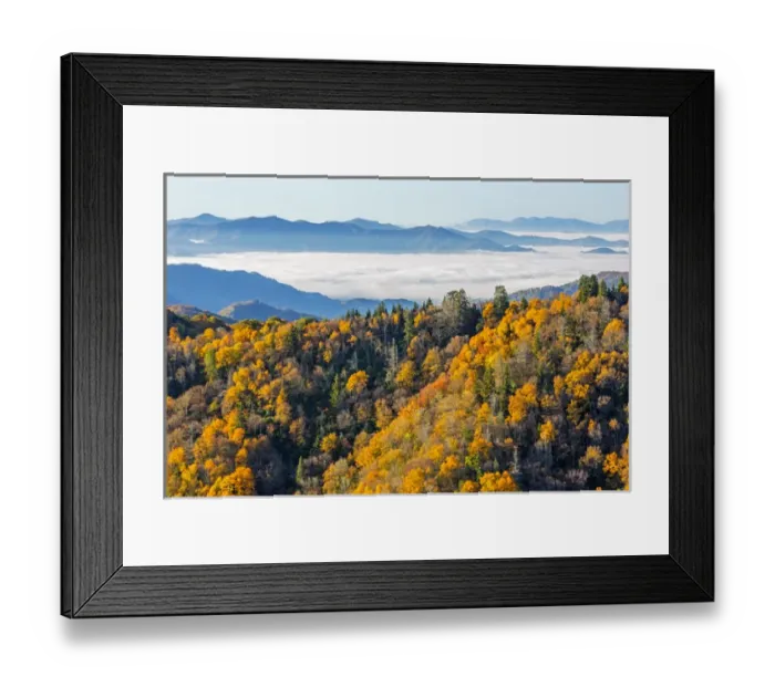 Framed Print : Tennessee  /  North Carolina, Great Smoky Mountains National Park, Newfound Gap