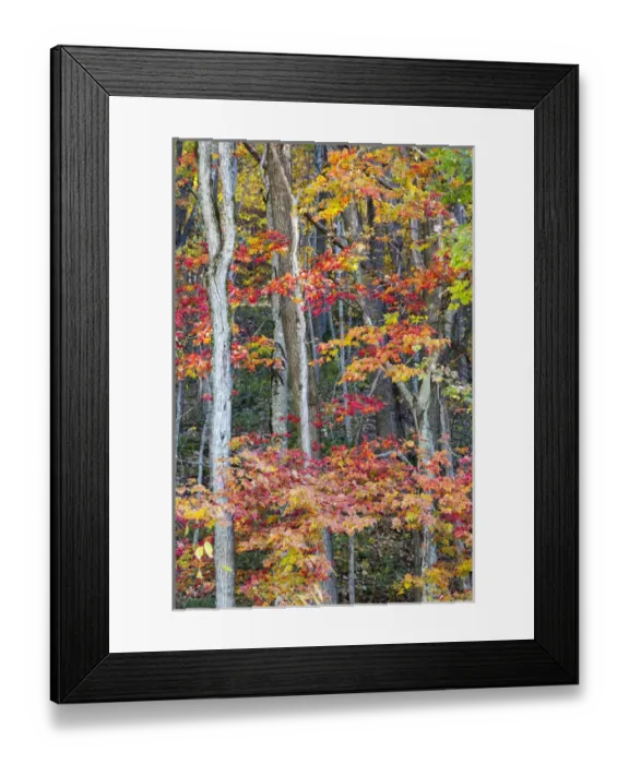 Framed Print : North Carolina, Blue Ridge Parkway