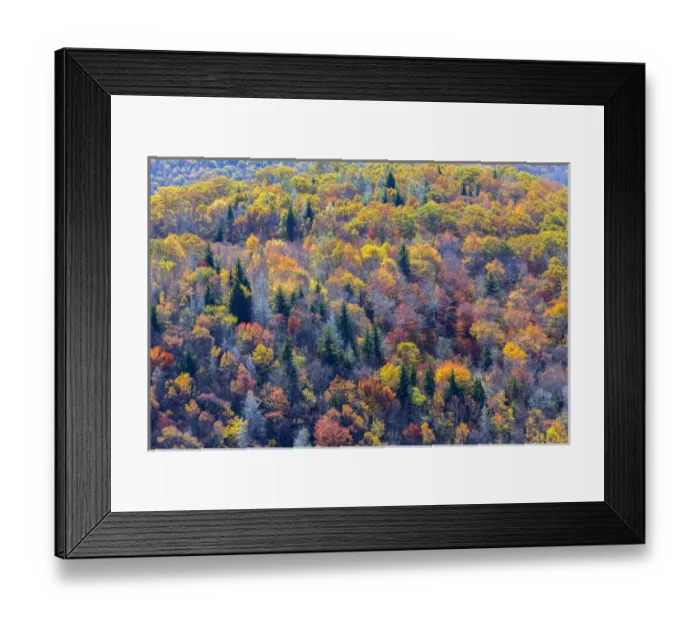 Framed Print : North Carolina, Blue Ridge Parkway Framed Print : North Carolina, Blue Ridge Parkway