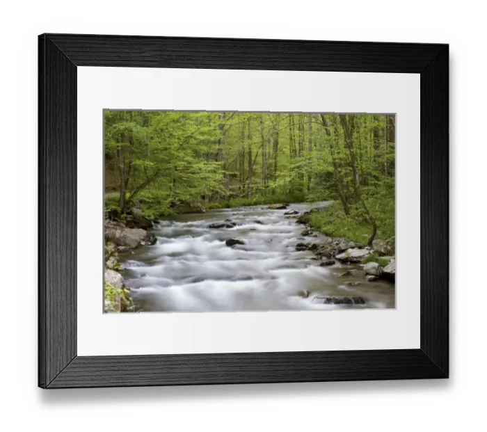 Framed Print : Straight Fork Creek in spring, Great Smoky Mountains National Park, NC Framed Print : Straight Fork Creek in spring, Great Smoky Mountains National Park, NC