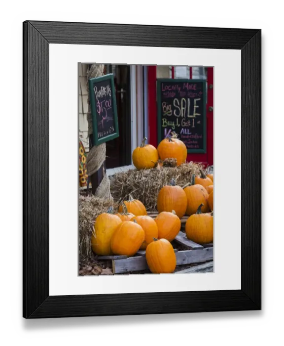 Framed Print : USA, North Carolina, Blowing Rock, pumpkins, autumn Framed Print : USA, North Carolina, Blowing Rock, pumpkins, autumn