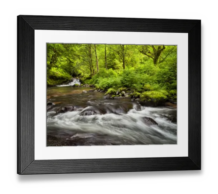Framed Print : USA, Oregon, Siuslaw National Forest, Sweet Creek