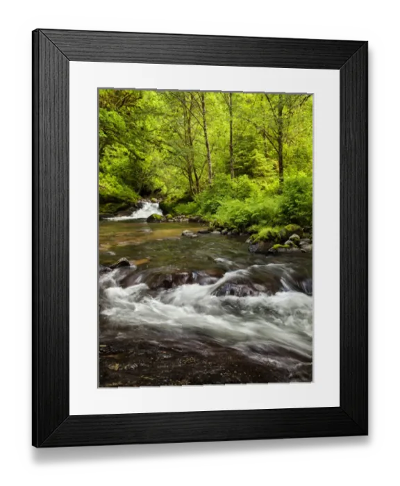 Framed Print : USA, Oregon, Siuslaw National Forest, Sweet Creek Framed Print : USA, Oregon, Siuslaw National Forest, Sweet Creek