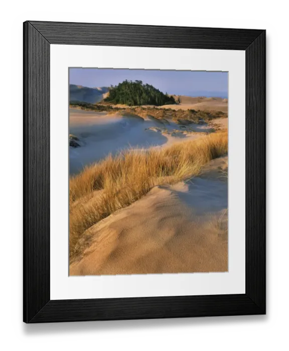 Framed Print : USA, Oregon, Dunes National Recreation Area Framed Print : USA, Oregon, Dunes National Recreation Area