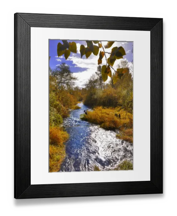 Framed Print : USA, Oregon. Scenic of Dieckman Creek. Credit as: Steve Terrill  /  Jaynes Gallery  /  DanitaDelimont