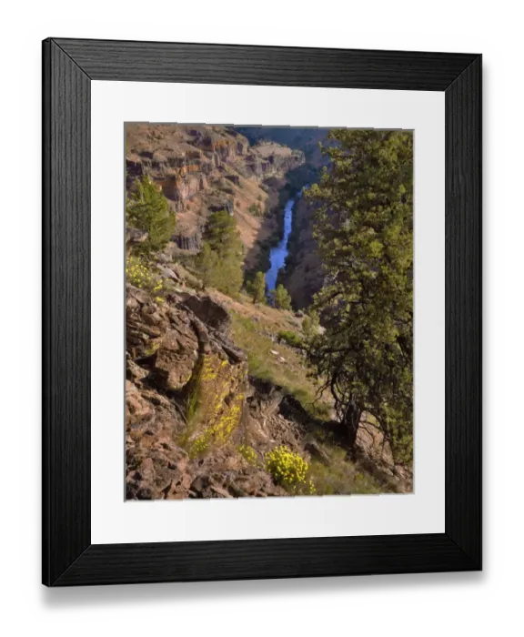Framed Print : USA, Oregon, Deschutes Canyon. Canyon landscape