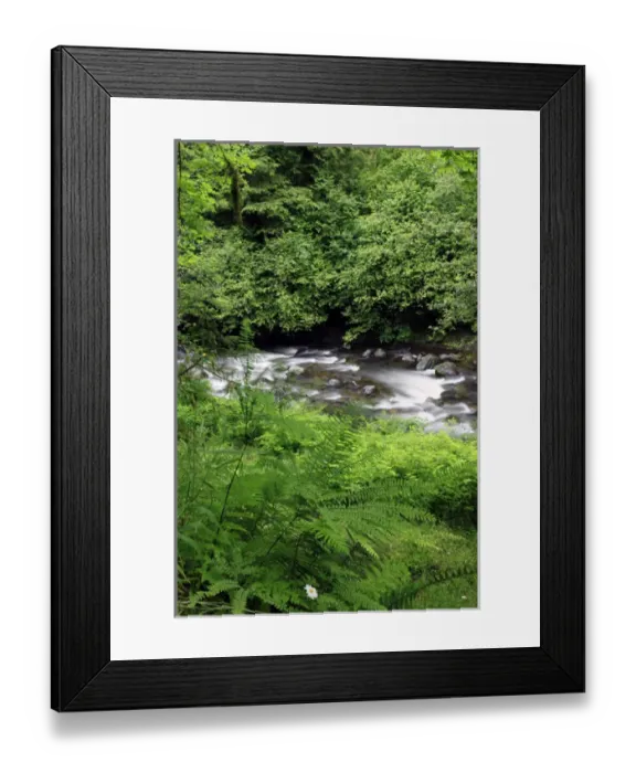 Framed Print : USA, Oregon. Scenic of Little Sandy River and ferns Framed Print : USA, Oregon. Scenic of Little Sandy River and ferns