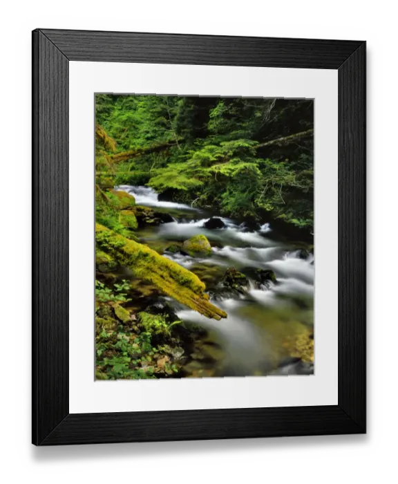 Framed Print : USA, Oregon, Mt Hood National Forest. Still Creek scenic Framed Print : USA, Oregon, Mt Hood National Forest. Still Creek scenic
