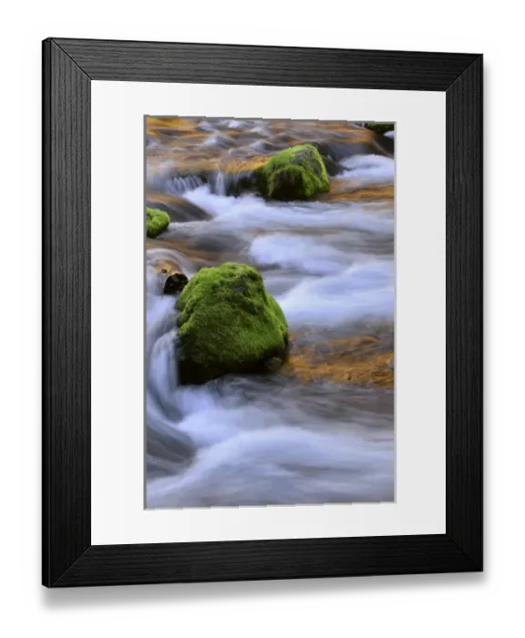 Framed Print : USA, Oregon, Willamette National Forest. McKenzie River flowing over moss-covered rocks Framed Print : USA, Oregon, Willamette National Forest. McKenzie River flowing over moss-covered rocks