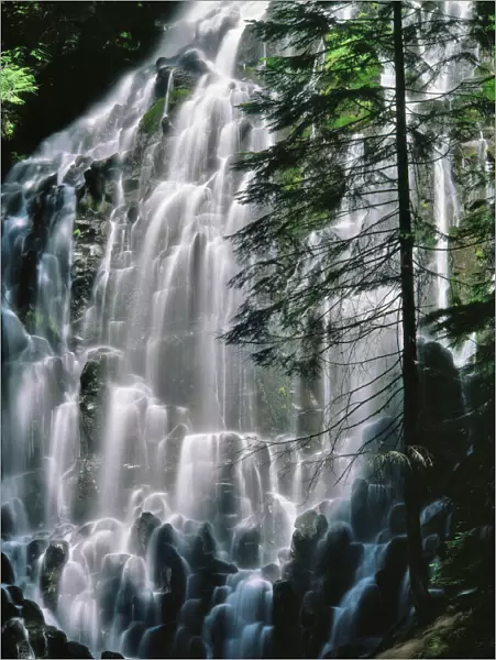 USA, Oregon, Mt Hood Wilderness. Ramona Falls landscape