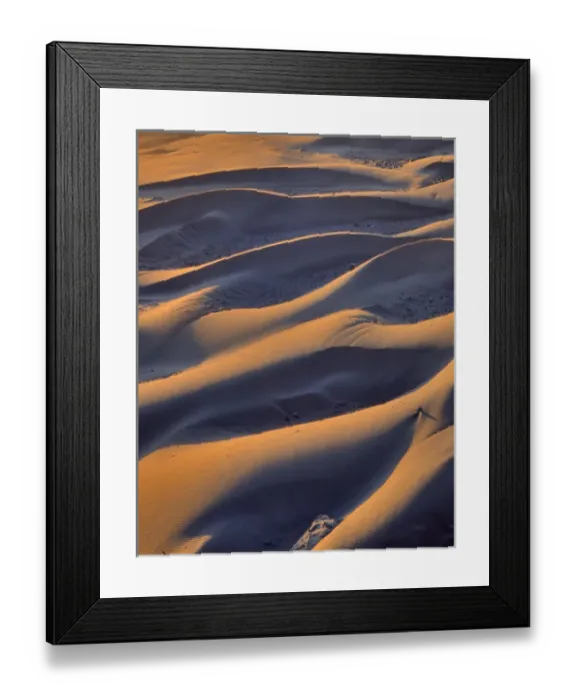 Framed Print : USA, Oregon, Cape Sebastian. Close-up of sand dunes Framed Print : USA, Oregon, Cape Sebastian. Close-up of sand dunes