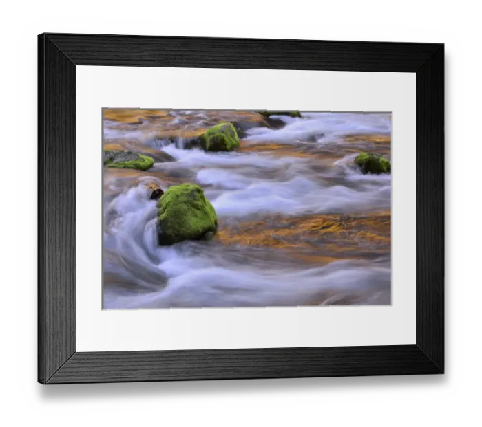 Framed Print : USA, Oregon, Willamette National Forest. McKenzie River flowing over moss-covered rocks Framed Print : USA, Oregon, Willamette National Forest. McKenzie River flowing over moss-covered rocks