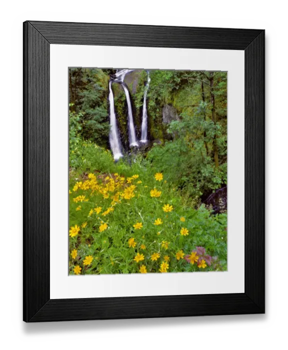 Framed Print : USA, Oregon, Columbia River Gorge National Scenic Area. Scenic of Triple Falls. Credit as