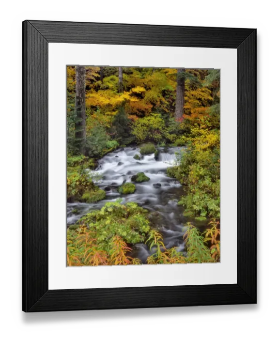 Framed Print : USA, Oregon, Willamette National Forest. Roaring River running through Oregon Credit as