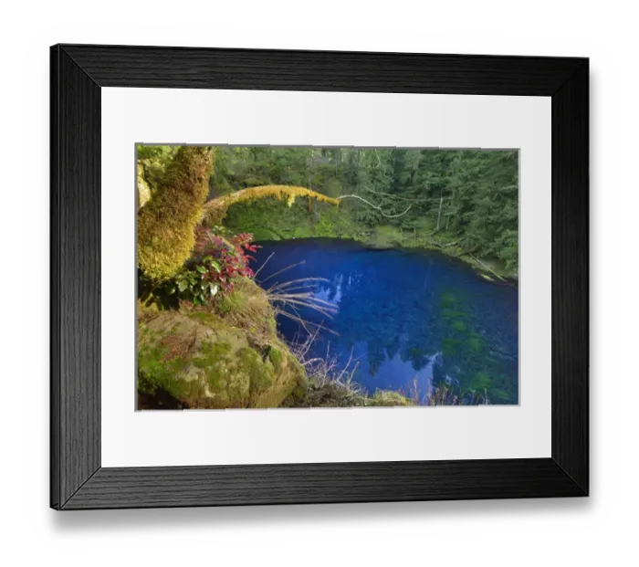 Framed Print : USA, Oregon. Blue or Tamolitch Pool on McKenzie River Framed Print : USA, Oregon. Blue or Tamolitch Pool on McKenzie River