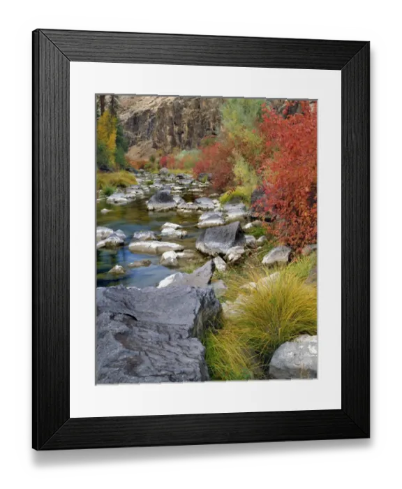 Framed Print : USA, Oregon. Fall colors along John Day River
