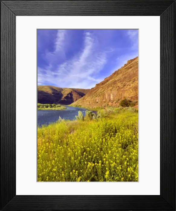 Framed Print : USA, Oregon. Cliffs and wild mustard along John Day River Framed Print : USA, Oregon. Cliffs and wild mustard along John Day River