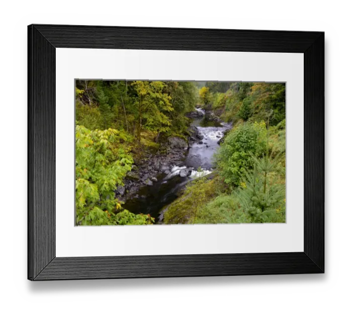 Framed Print : USA, Oregon, Tillamook State Forest. Wilson River landscape