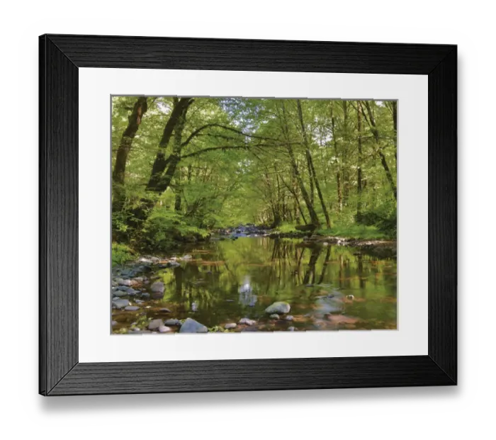 Framed Print : USA, Oregon, Tillamook State Forest. Scenic of Wilson River