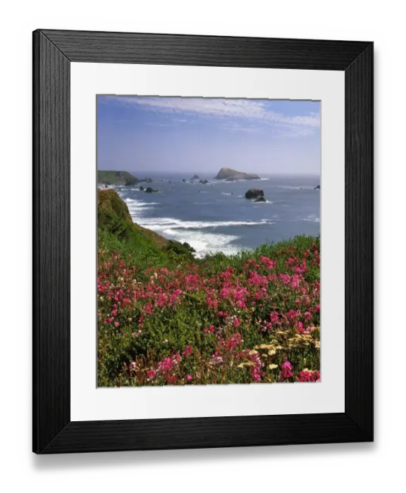 Framed Print : USA, Oregon. Ocean landscape of Goat Rock and sweet peas Framed Print : USA, Oregon. Ocean landscape of Goat Rock and sweet peas