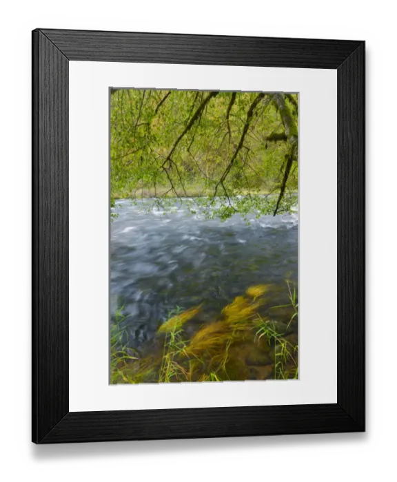 Framed Print : USA, Oregon. Scenic of North Santiam River