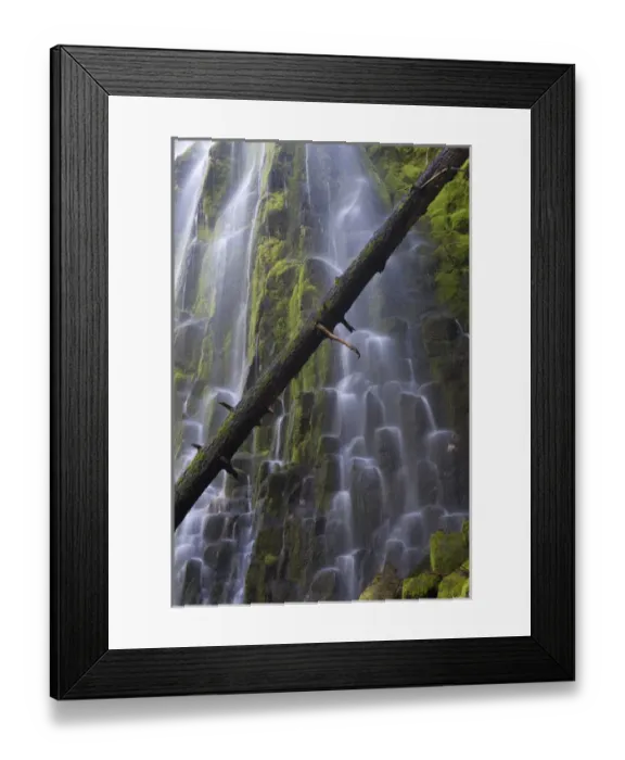 Framed Print : USA, Oregon, Proxy Falls. Waterfalls over basalt columns Framed Print : USA, Oregon, Proxy Falls. Waterfalls over basalt columns
