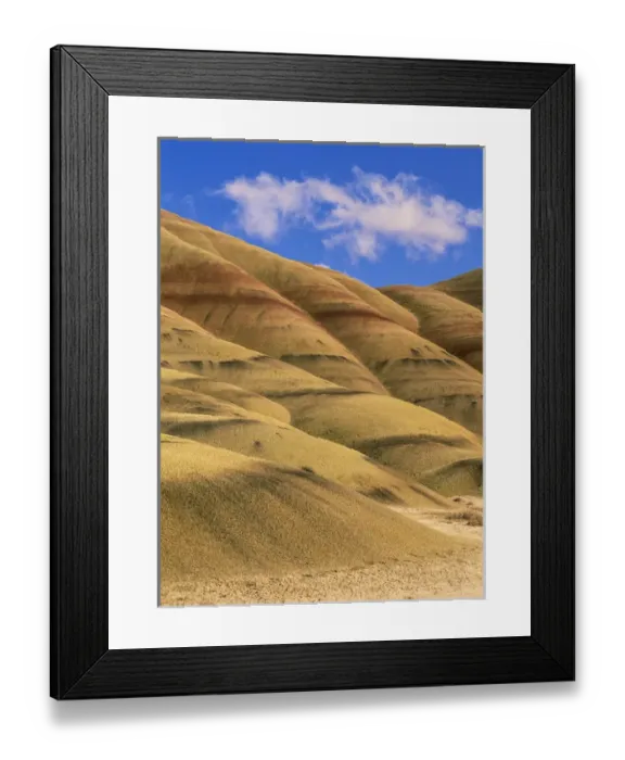 Framed Print : nasc-356 Painted Hills Unit, John Day Fossil Beds National Monument, Oregon. Original Framed Print : nasc-356 Painted Hills Unit, John Day Fossil Beds National Monument, Oregon. Original