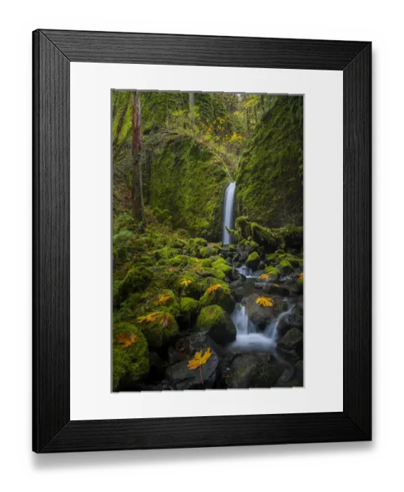 Framed Print : USA, Oregon. Mysterious Mossy Grotto falls on an autumn day in the Columbia Gorge Framed Print : USA, Oregon. Mysterious Mossy Grotto falls on an autumn day in the Columbia Gorge