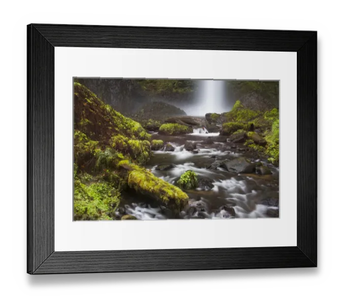 Framed Print : Latourell Falls; Guy S. Talbot State Park; Oregon; USA