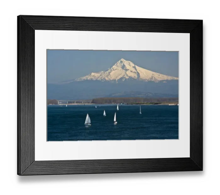 Framed Print : Sailboats, Columbia River, Mount Hood, Portland, Otregon, USA Framed Print : Sailboats, Columbia River, Mount Hood, Portland, Otregon, USA