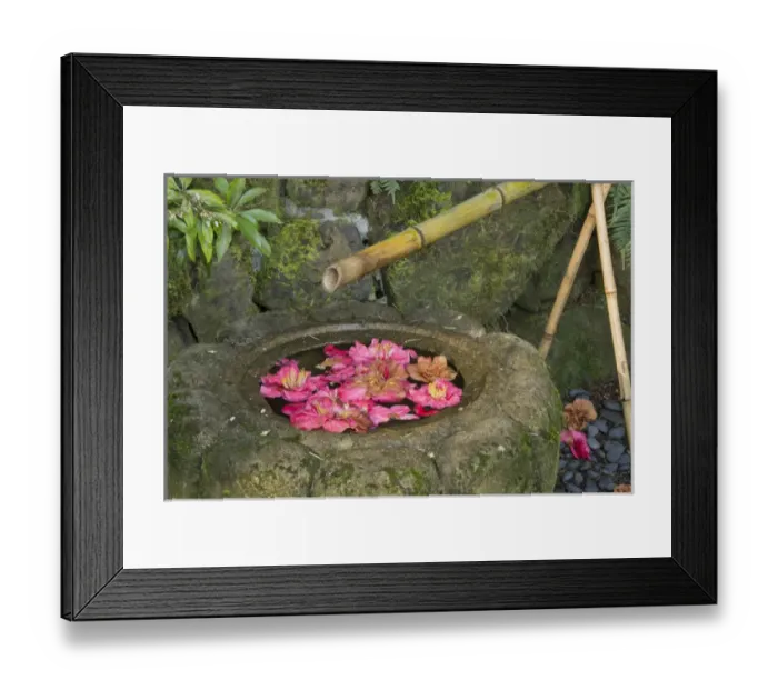 Framed Print : water basin, flowers, Portland Japanese Garden, Portland, Oregon, USA Framed Print : water basin, flowers, Portland Japanese Garden, Portland, Oregon, USA